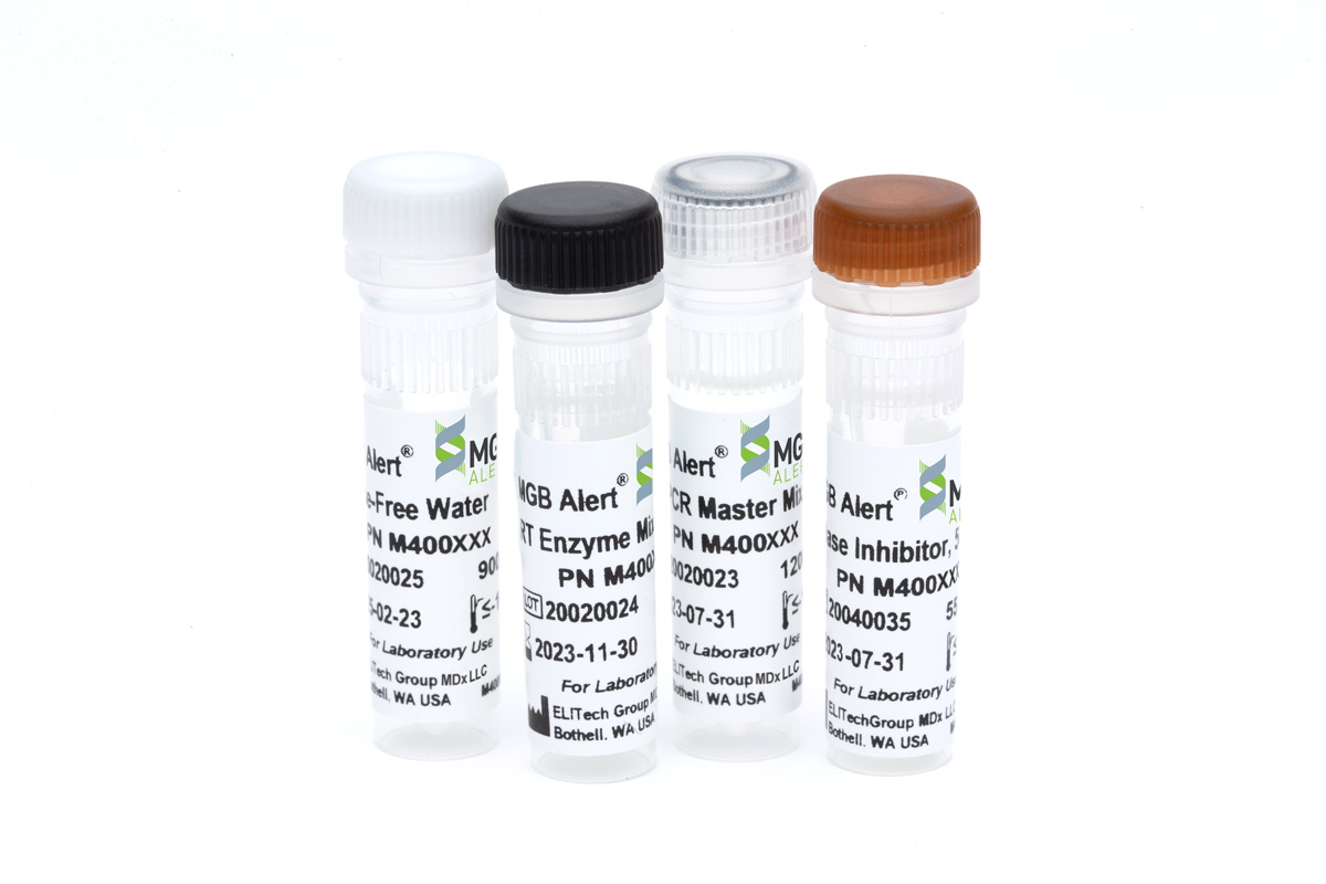 reverse transcriptase master mix